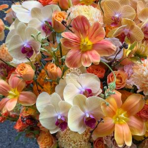 lẵng hoa chúc mừng lan hồ điệp và tulip