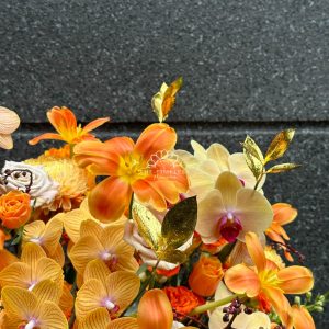 lẵng hoa chúc mừng lan hồ điệp và tulip