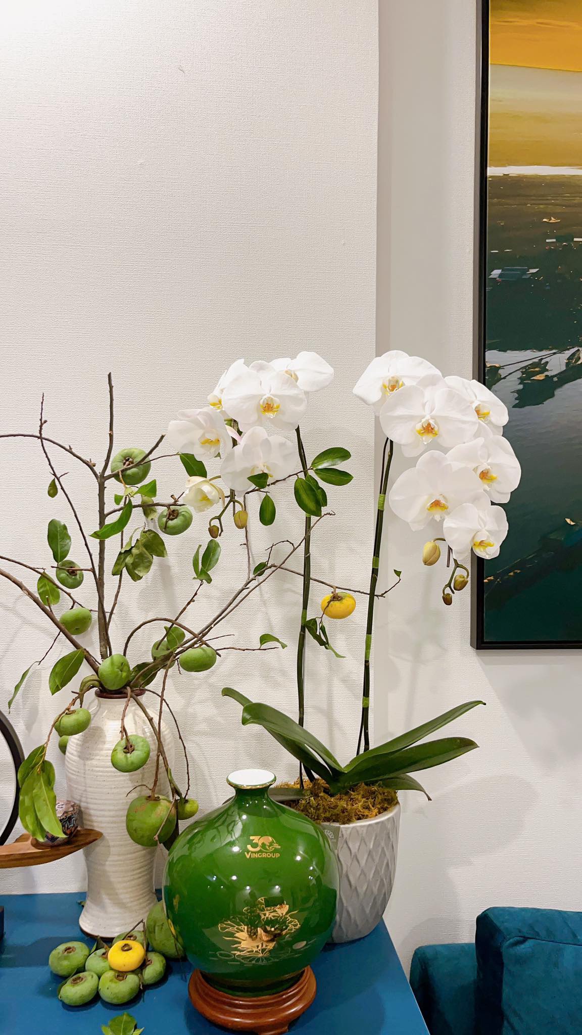 Chậu Lan Hồ Điệp Trắng 2 cành