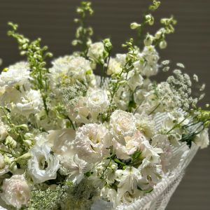 Hoa Bó Delphinium B78