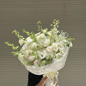 Hoa Bó Delphinium B78