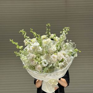 Hoa Bó Delphinium B78