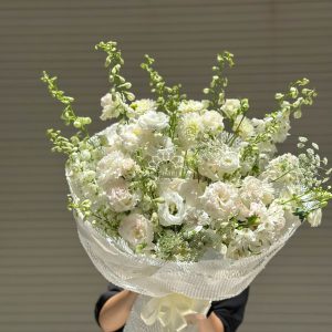 Hoa Bó Delphinium B78