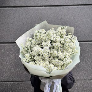 Hoa Bó Khổng Lồ Thạch Thảo Trắng W071