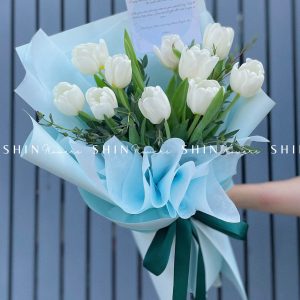Hoa 10 Tulip Trắng S043
