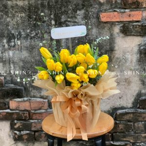 Lẵng Hoa Tulip Vàng Chúc Mừng H038