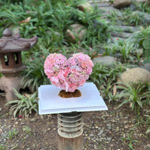 Hộp Hoa Tim Mica B002