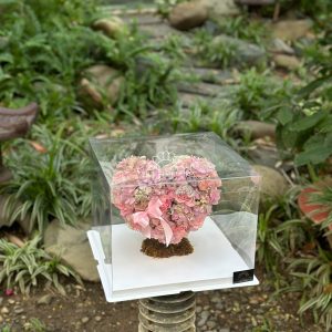 Hộp Hoa Tim Mica B002