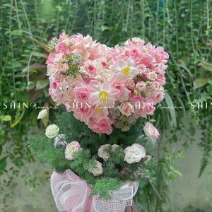 Cây Hoa Trái Tim Tulip Hồng T006