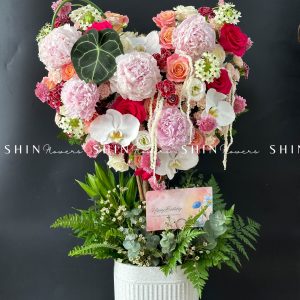 Cây Hoa Trái Tim Hoa Xuân T008