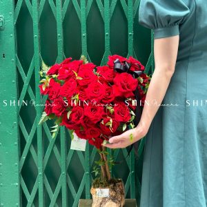 Cây Hoa Trái Tim Hoa Hồng Đỏ T001