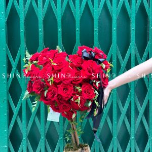 Cây Hoa Trái Tim Hoa Hồng Đỏ T001