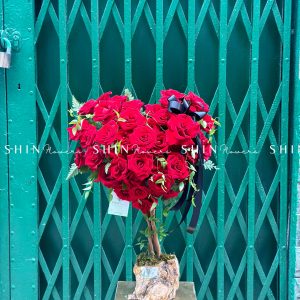 Cây Hoa Trái Tim Hoa Hồng Đỏ T001