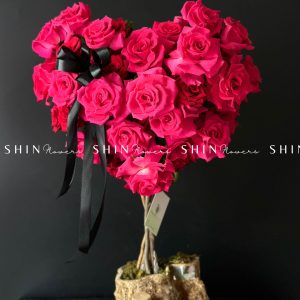 Cây Hoa Trái Tim Hoa Hồng PinkFLoyd T002