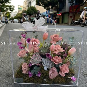 Vali Mica Hoa Tulip Hồng - Blooming Box B005