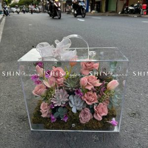 Vali Mica Hoa Tulip Hồng - Blooming Box B005