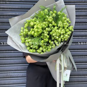 Bó Hoa Hồng Xanh Eclair Rose S141