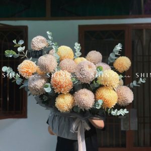 Lẵng Hoa Cúc Mẫu Đơn Chúc Mừng H067