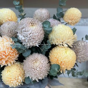 Lẵng Hoa Cúc Mẫu Đơn Chúc Mừng H067