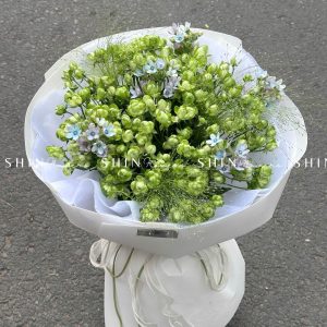 Bó Hoa Hồng Xanh Eclair Rose S122