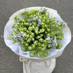 Bó Hoa Hồng Xanh Eclair Rose S122