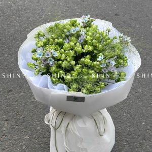 Bó Hoa Hồng Xanh Eclair Rose S122