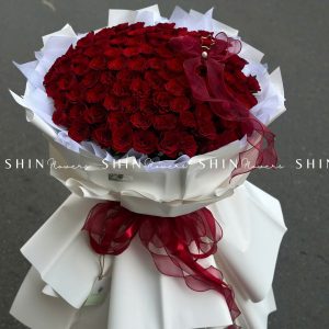 Hoa Bó Khổng Lồ 99 hồng Đỏ Côn Minh S115