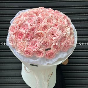 Bó 50 Hoa Hồng Pink Ohara S110