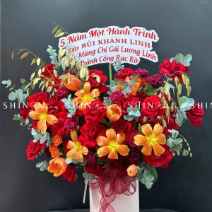 Hộp Hoa Tulip Cam mix hoa Hồng Đỏ Chúc Mừng H057