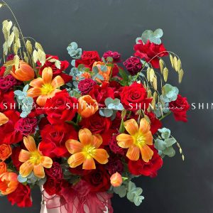 Hộp Hoa Tulip Cam mix hoa Hồng Đỏ Chúc Mừng H057