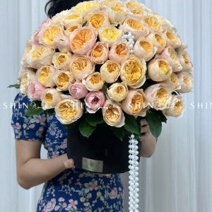 Hộp Hoa Hồng 99 bông Juliet - Dear Juliet H060