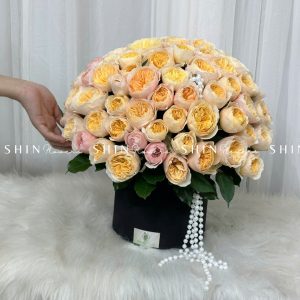 Hộp Hoa Hồng 99 bông Juliet - Dear Juliet H060