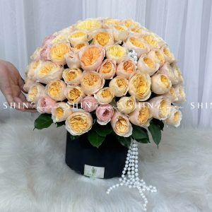 Hộp Hoa Hồng 99 bông Juliet - Dear Juliet H060