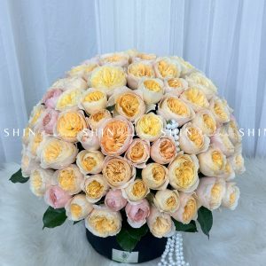 Hộp Hoa Hồng 99 bông Juliet - Dear Juliet H060