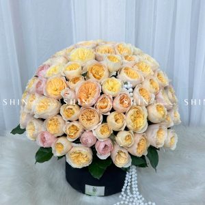 Hộp Hoa Hồng 99 bông Juliet - Dear Juliet H060