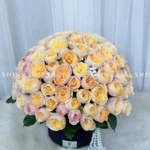 Hộp Hoa Hồng 99 bông Juliet - Dear Juliet H060