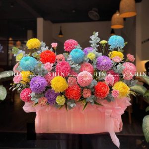 Lẵng Hoa Cúc Mẫu Đơn Chúc Mừng H065