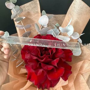 Bó 1 Hoa Hồng Đỏ Nhập Ecuador Hearts only you S177