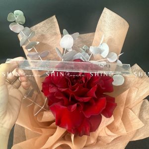 Bó 1 Hoa Hồng Đỏ Nhập Ecuador Hearts only you S177