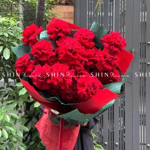 Bó hoa 25 Hoa Hồng Đỏ Nhập Ecuador Hearts S191