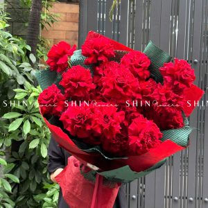 Bó hoa 25 Hoa Hồng Đỏ Nhập Ecuador Hearts S191