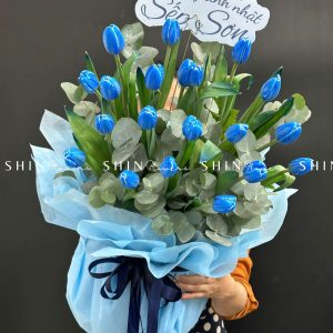 Lẵng Hoa 20 tulip nhuộm xanh blue H075