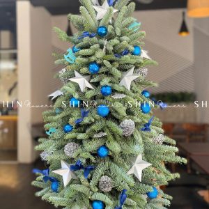 Cây Thông Nobilis Đan Mạch size 110 cm T006