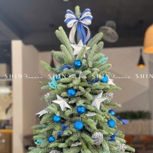 Cây Thông Nobilis Đan Mạch size 110 cm T006