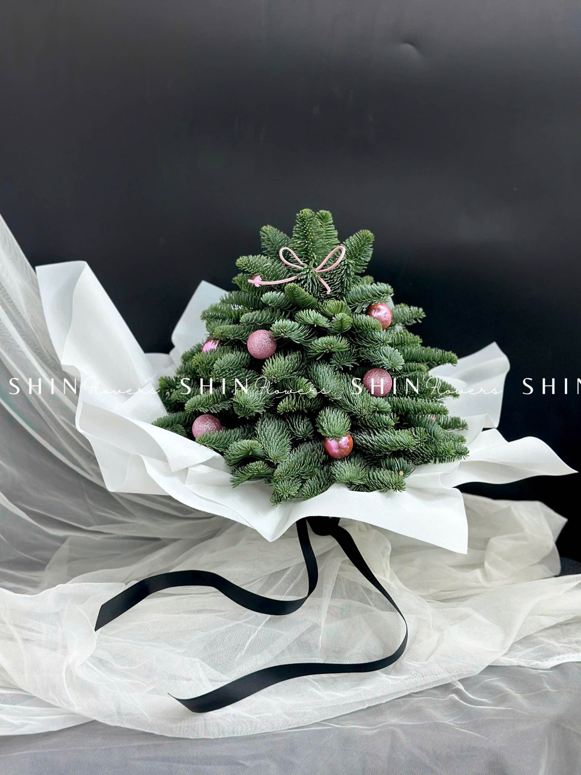 Cây Thông Nobilis Đan Mạch size 30 cm T010