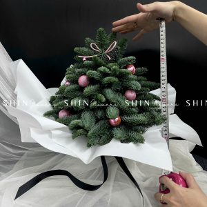 Cây Thông Nobilis Đan Mạch size 30 cm T010