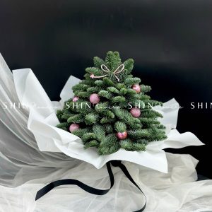 Cây Thông Nobilis Đan Mạch size 30 cm T010