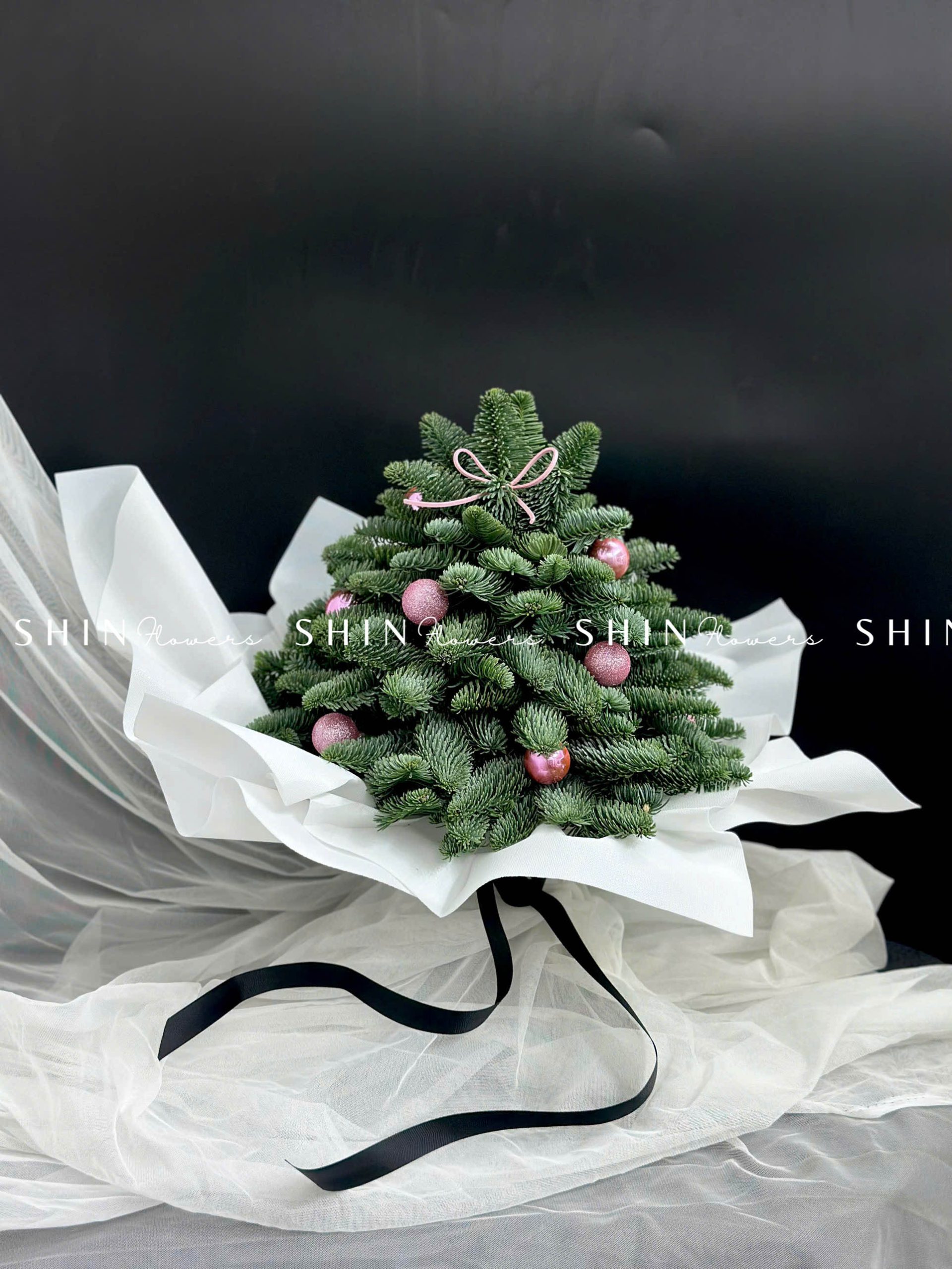 Cây Thông Nobilis Đan Mạch size 30 cm T010