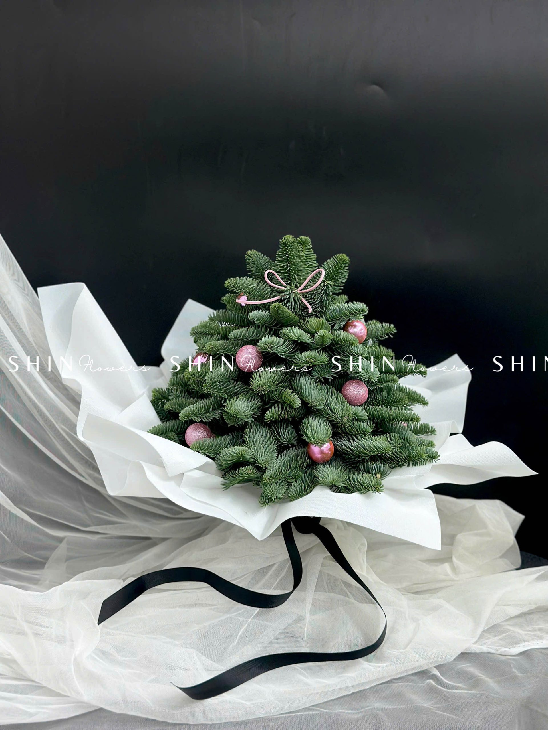 Cây Thông Nobilis Đan Mạch size 30 cm T010