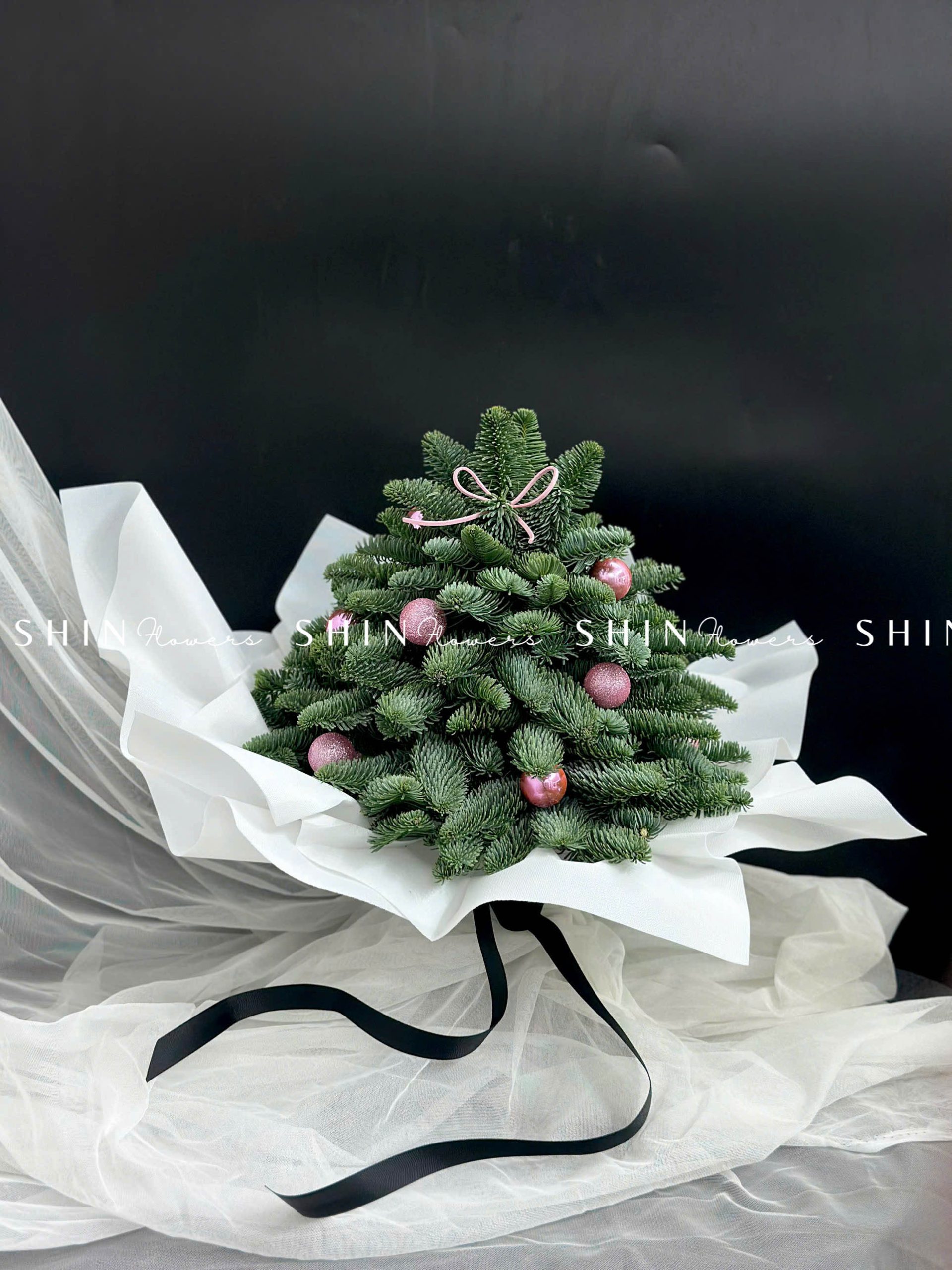 Cây Thông Nobilis Đan Mạch size 30 cm T010